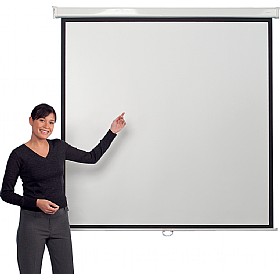 Manually Operated Leader Screens £63 - Display & Presentation