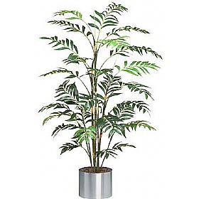 5ft Japanese Bamboo Palm Tree &pound;76 - Office Furniture