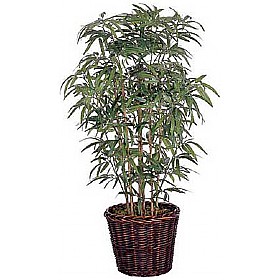 4ft Japanese Bamboo with Natural Stems &pound;45 - Office Furniture