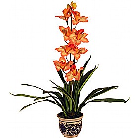 Orange Single Stem Orchid &pound;27 - Office Furniture