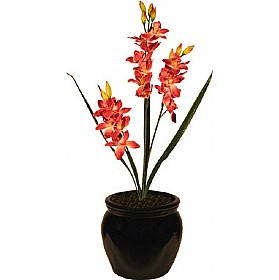 Pink Double Stem Orchid Cymbidium &pound;40 - Office Furniture