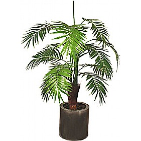 3ft Mini Palm £45 - Office Furniture