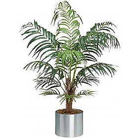 4ft Deluxe Areca Palm £53 - Office Furniture