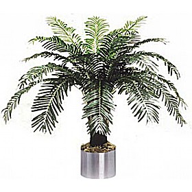 4ft Cycas Palm £93 - Office Furniture