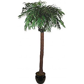 9ft Coconut Palm Tree &pound;182 - Office Furniture