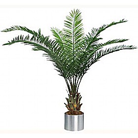 7.5ft Date Palm £209 - Office Furniture