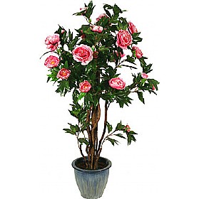 4.5ft Peony Tree with Natural Stem £62 - Office Furniture