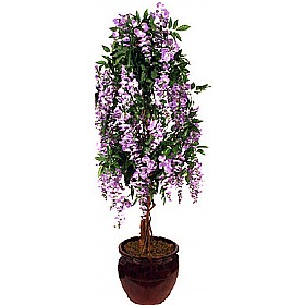 5ft Wisteria - Purple &pound;76 - Office Furniture