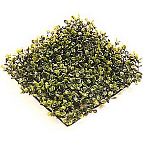 Boxwood Matting £13 - Office Furniture