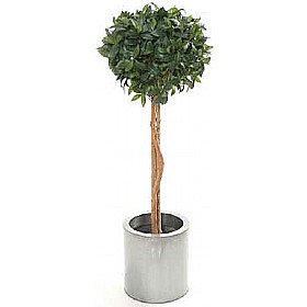 5ft Single Ball Bay Laurel Topiary with Natural Stem &pound;58 - Office Furniture