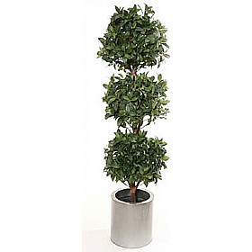 5ft Triple Bay Ball Topiary with Natural Stem £97 - Office Furniture
