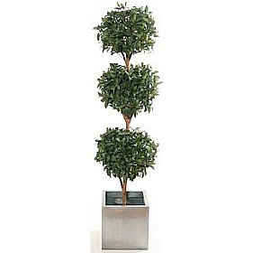 6ft Triple Bay Ball Topiary with Natural Stem £76 - Office Furniture