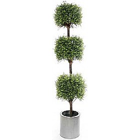 6ft Tea Tree Topiary with Natural Stem £93 - Office Furniture