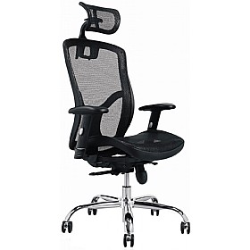 Carinosa Mesh Chair £227 - Office Furniture