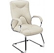 Elf Leather Visitor Chair