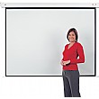 Rollfix Heavy Duty Electric Screens