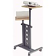 Multi-Media Trolley