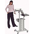 Deluxe Multi-Media Trolley