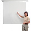 Budget Electric Wall Or Ceiling Mounted Screens