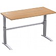 Electric Height Adjustable Rectangular Desk