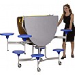 Oval Graduate 8 Seater Folded
