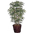 4ft Japanese Bamboo