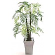 5ft Bamboo Palm