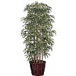 5ft Japanese Bamboo