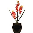 Pink Double Stem Orchid