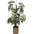 5ft Mini Palm