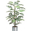 5ft Reed Palm