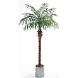 7ft Areca Palm