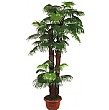 8ft Fan Palm