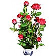 60cm Rose Plant Pink