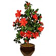 3ft Hibiscus - Red