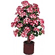 3.5ft Hydrangea - Purple