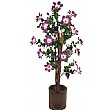 5ft Hibiscus - Purple