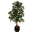 4ft Rose Tree