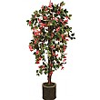 5ft Bougainvillea Spect