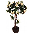 4ft Azalea - White