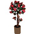 4ft Azalea - Pink