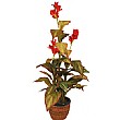 4.5ft Canna Tree - Red