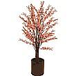 5ft Flowering Cherry Tree