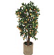 4.5ft Orange Tree