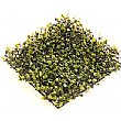 Boxwood Matting