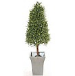 4ft Tea Tree Topiary