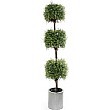 6ft Tea Tree Topiary