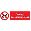 No Dogs Except Guide Dogs Sign