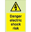 Danger Electric Shock Risk Gemglow Sign