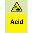 Acid Gemglow Sign